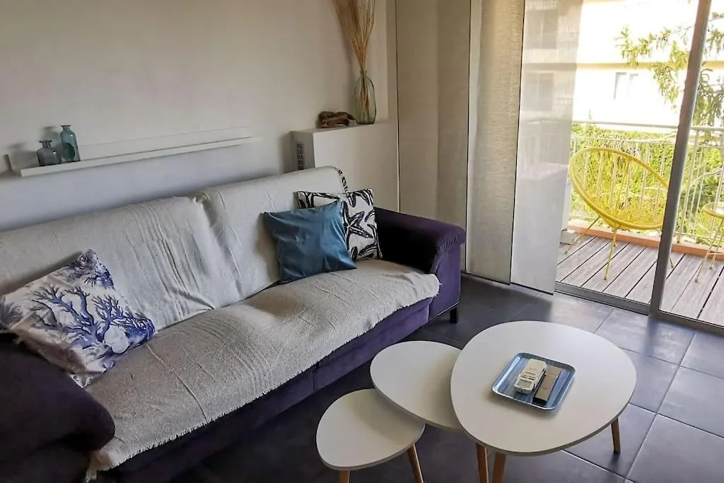 Spacieux 2 Pieces Avec Terrasse, Clim Et Parking Antibes